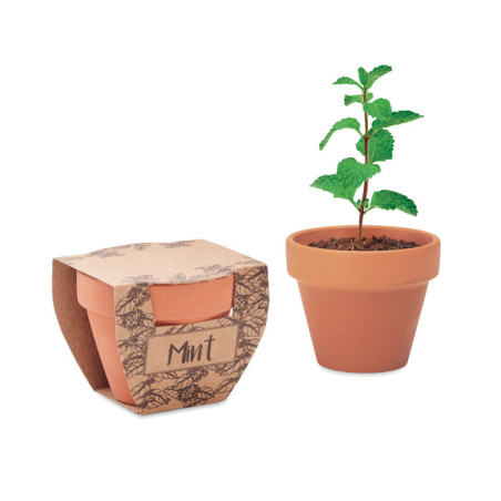 Mint Pot personnalisé — jardinage | Green Day Concept