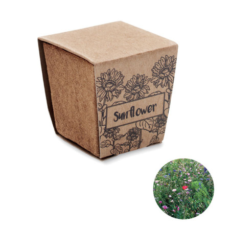 Sunflower Kit personnalisé — jardinage | Green Day Concept